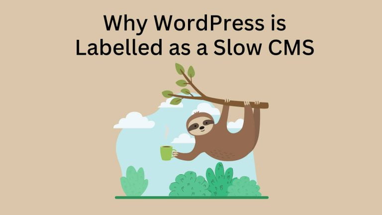 Exploring the Reasons Why WordPress is Labelled as a Slow CMS